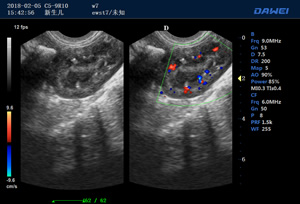 S90高端推車多普勒獸用彩超-動物寵物B超儀掃描圖
