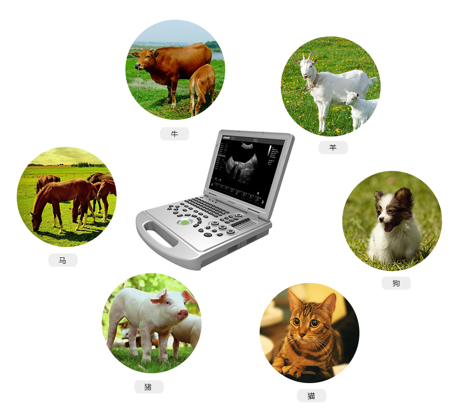 S8筆記本式獸用彩超機